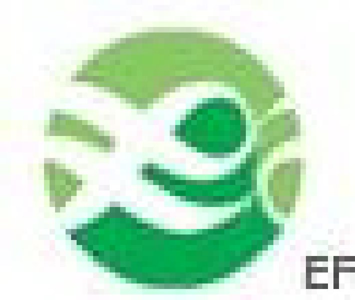 中國特許展2008<br>第10屆中國特許加盟大會暨展覽會