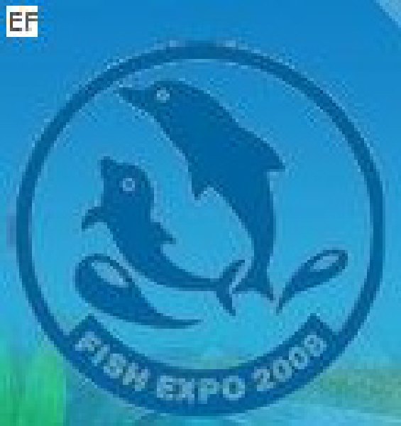 第三屆中國(guó)國(guó)際(廈門)漁業(yè)博覽會(huì)