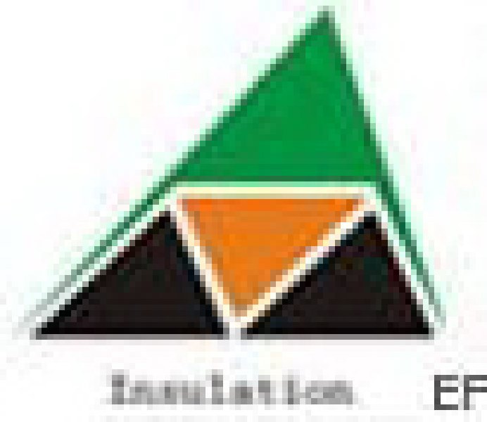 第四屆廣州國際絕緣材料展暨2008全國絕緣材料產(chǎn)業(yè)高峰論壇