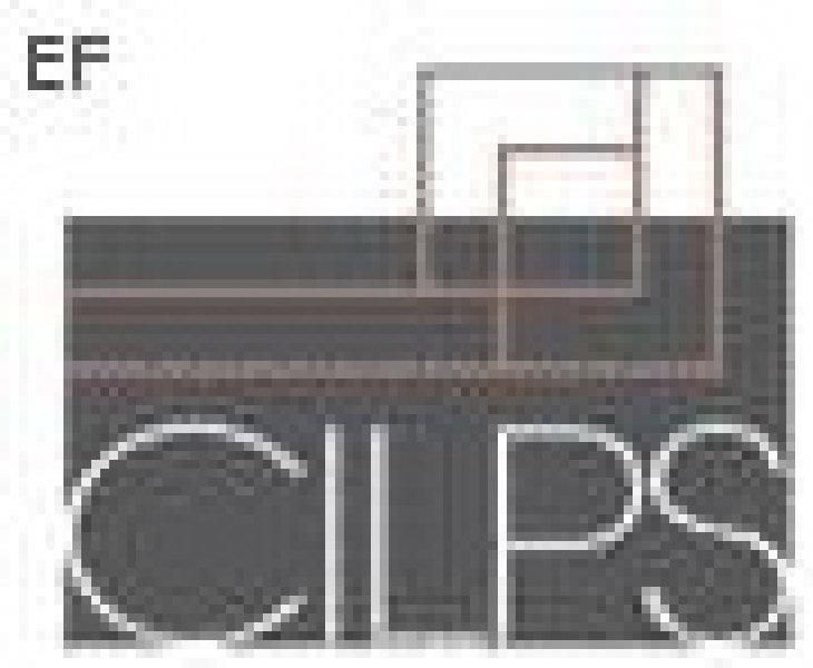 CILPS中國國際高端物業展