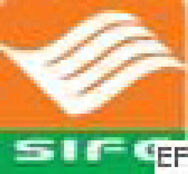 2008國際特許加盟(上海)展覽會