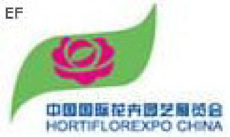 第十一屆中國國際花卉園藝展覽會