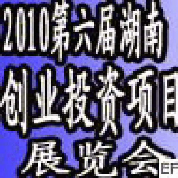2010第六屆湖南長沙創業投資項目展覽會