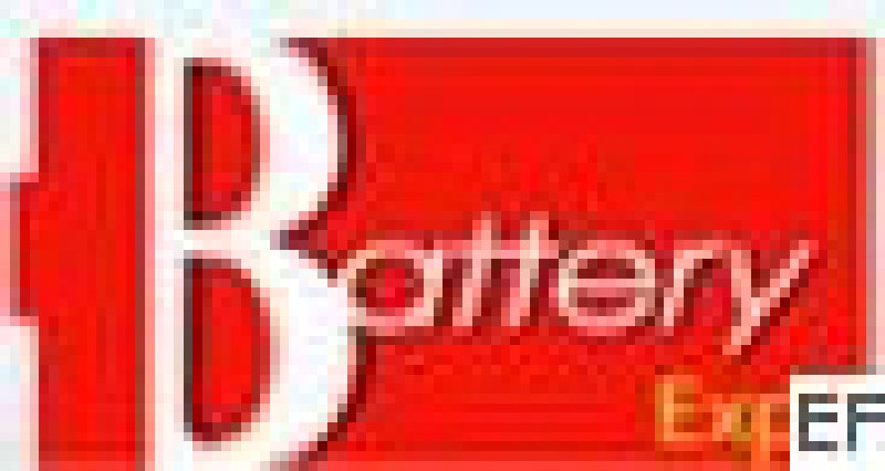 2010第十屆中國(上海)國際電池產(chǎn)業(yè)展覽會(huì)暨技術(shù)交流會(huì)