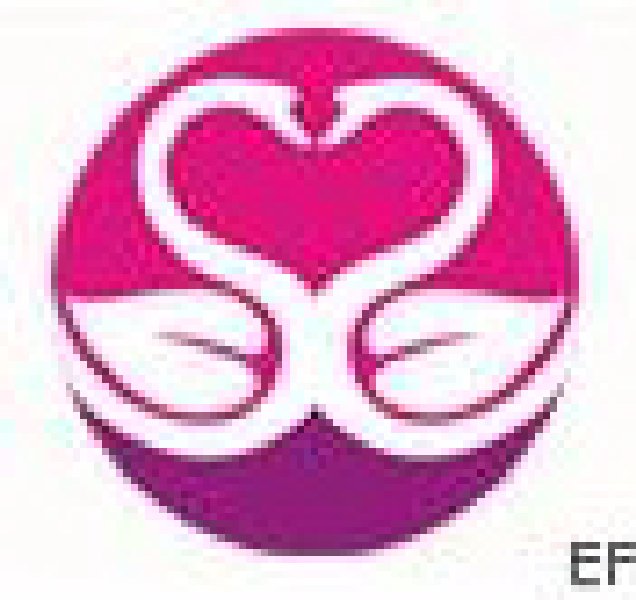 2009(第五屆)深圳國際婚博會