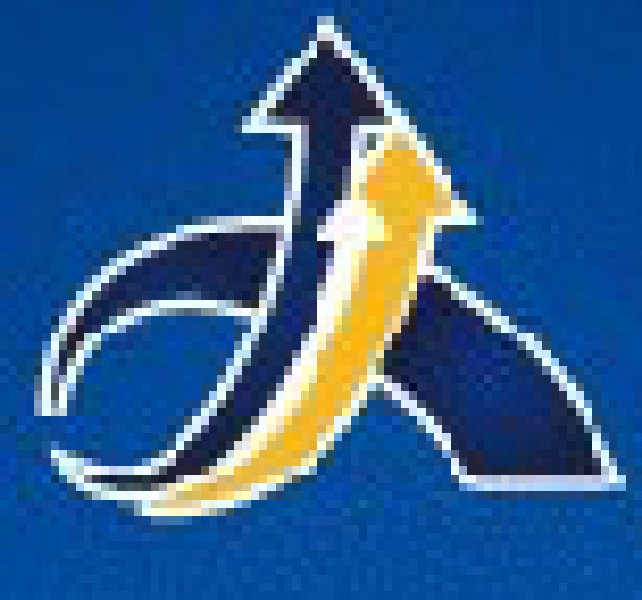 2010第九屆上海國際通信展覽會(huì)暨研討會(huì)