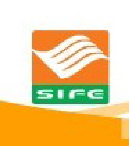 2010國際特許加盟(上海)展覽會