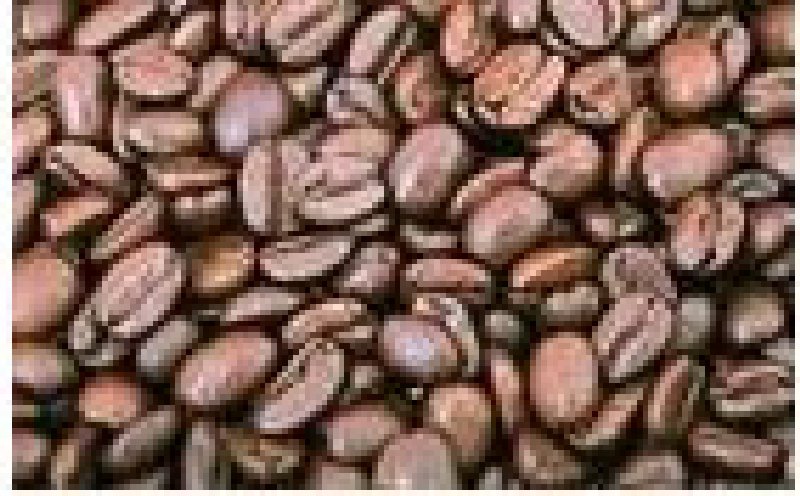 2010第八屆廣州國際咖啡、酒店特供餐飲食品、飲料展