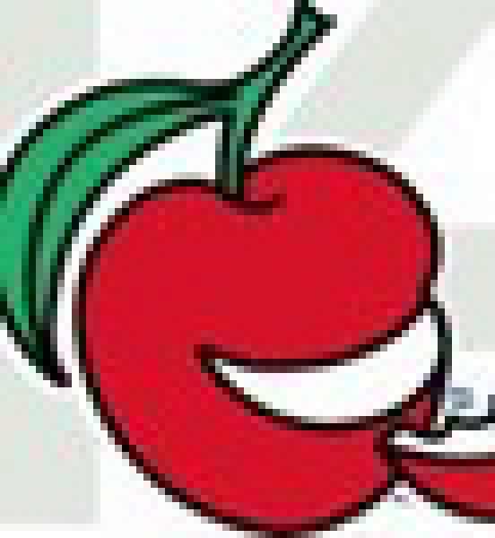 2010第十四屆國際食品、飲料、酒店設備、餐飲設備、烘培及服務展覽會