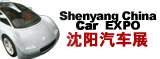 2011第十三屆沈陽春季汽車展覽會