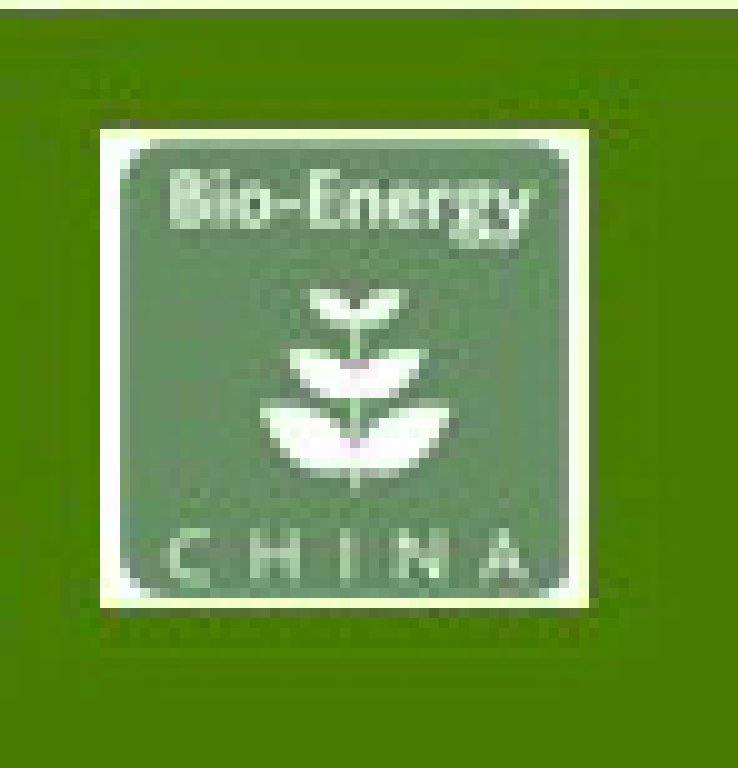 CIBEEXPO2012第四屆中國國際生物質能展覽暨技術研討會