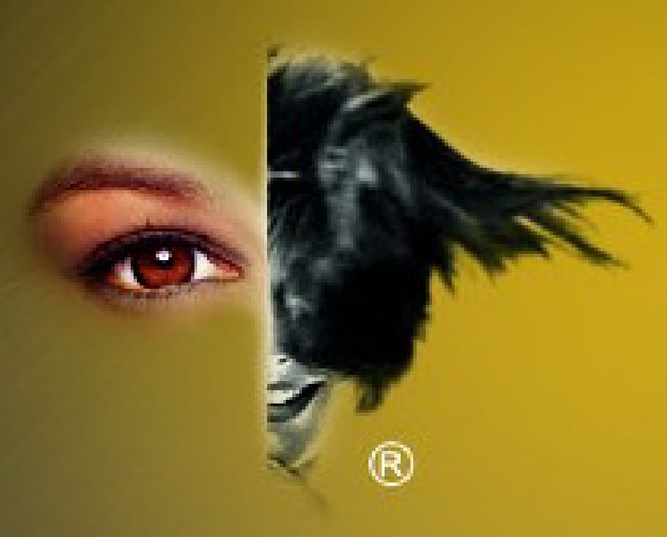 2012第十七屆中國美容博覽會(上海CBE)