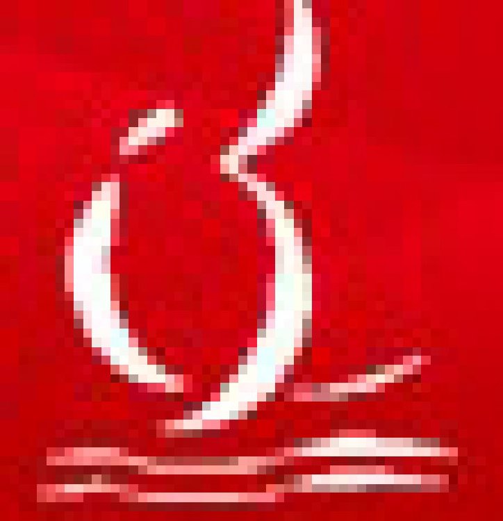 2011吉林(長春)第六屆國際建筑節能產品、新型墻材展覽會暨國際干混砂漿、墻體保溫技術與產品展覽會