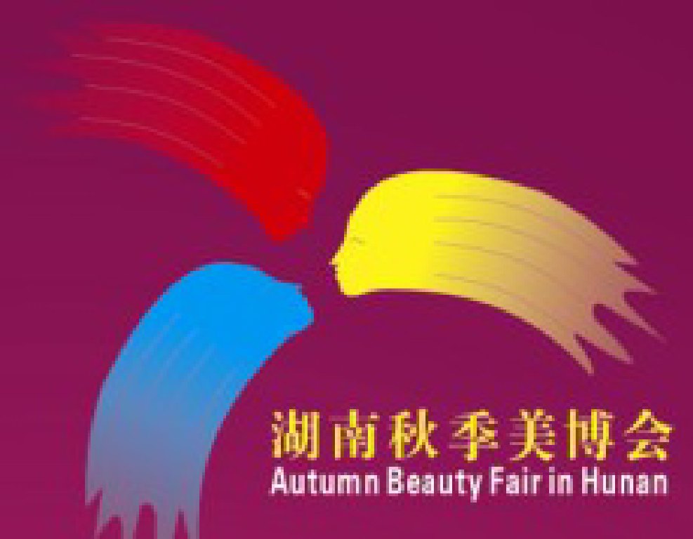 2011第十四屆湖南省美容美發(fā)化妝用品博覽會