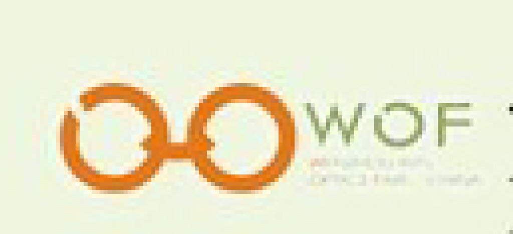 2012第十届中国(温州)国际眼镜制造业展览会