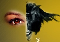 2014第十九屆中國美容化妝品博覽會(上海CBE)