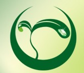 2015第二屆中國(guó)國(guó)際現(xiàn)代中藥與植物藥保健養(yǎng)生產(chǎn)業(yè)展覽會(huì)