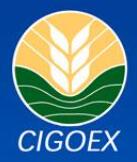 2023第十九屆中國國際糧油產(chǎn)品及設(shè)備技術(shù)展示交易會