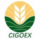 2024中國(guó)國(guó)際糧油博覽會(huì)第二十屆中國(guó)國(guó)際糧油產(chǎn)品及設(shè)備技術(shù)展示交易會(huì)